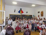 bivolari iasi 2018