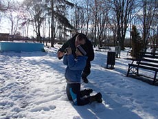 bivolari iasi 2018