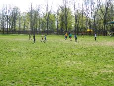Intreceri sportive