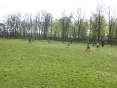 Intreceri sportive