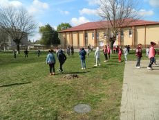Ne distram in natura si crestem sanatos