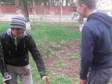 O lume mai curata