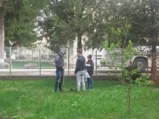 O lume mai curata
