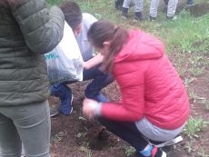 O lume mai curata
