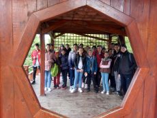 Turisti in orasul teilor infloriti