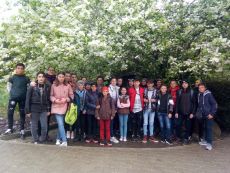 Turisti in orasul teilor infloriti