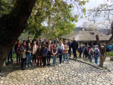Turisti in orasul teilor infloriti