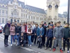 Turisti in orasul teilor infloriti