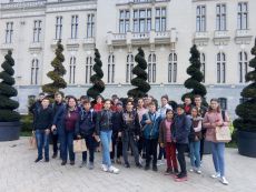 Turisti in orasul teilor infloriti