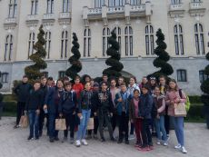 Turisti in orasul teilor infloriti