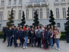 Turisti in orasul teilor infloriti